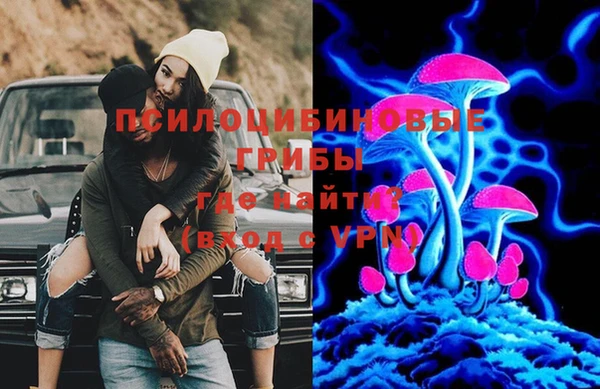 спайс Рославль